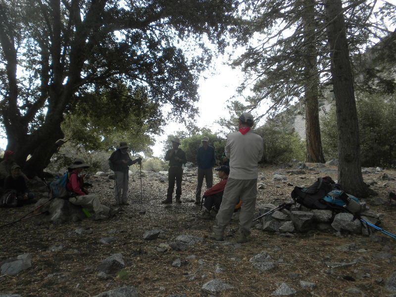 Timber101710 115.jpg